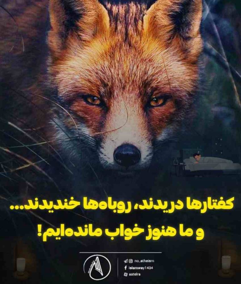 کفتارها دریدند، روباه‌ها خندیدند… و ما هنوز خواب مانده‌ایم!